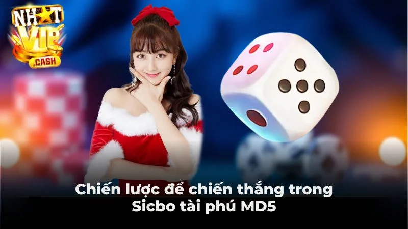 Chiến lược để chiến thắng trong Sicbo tài phú MD5