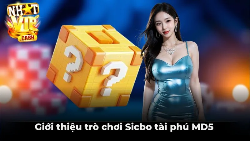 Giới thiệu khái quát về trò chơi Sicbo tài phú MD5